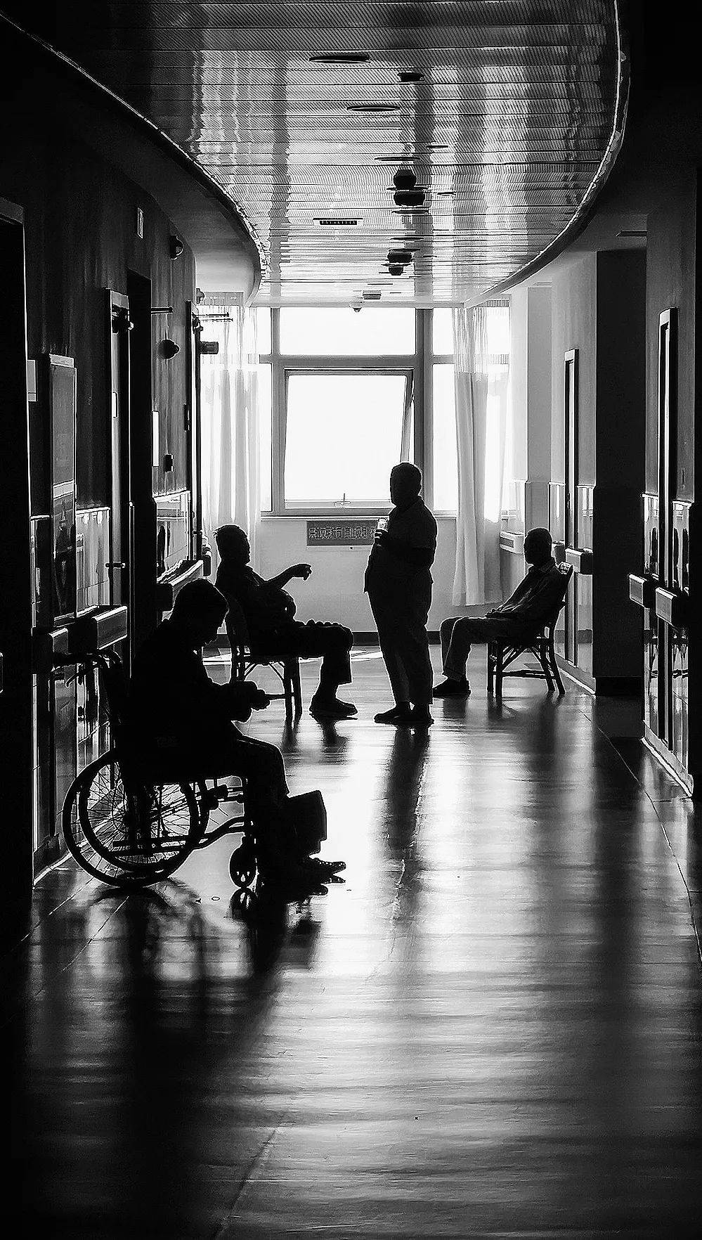 李丹宇  《水墨江南》单幅王晨雪  《头顶的舞者》单幅张权奥  《含苞