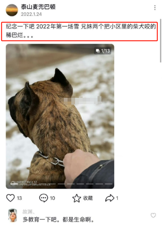 山东男子饲养3只禁养犬后续:真实身份曝光,主动投案