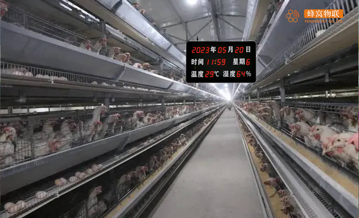 智慧养殖无线温湿度实时在线监测系统,蜂窝物联4g远程无线温湿度