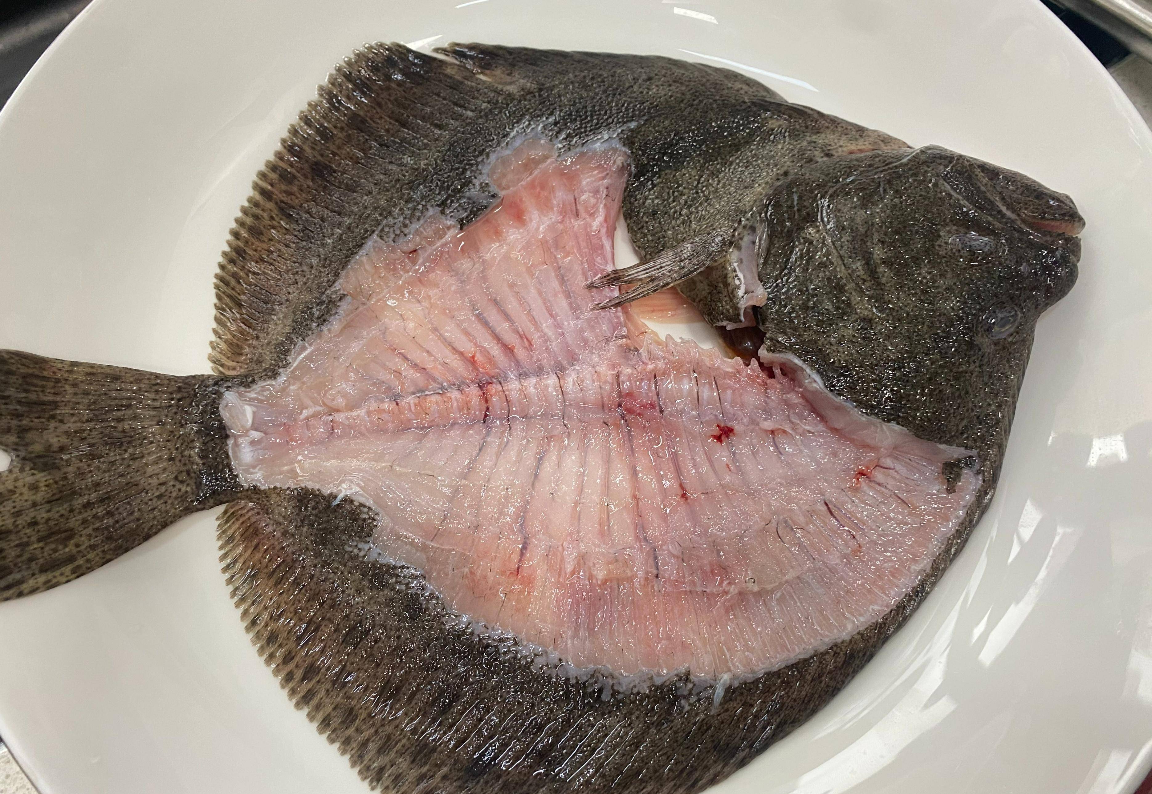 将多宝鱼处理干净,鱼肉片下来,并且切薄片.