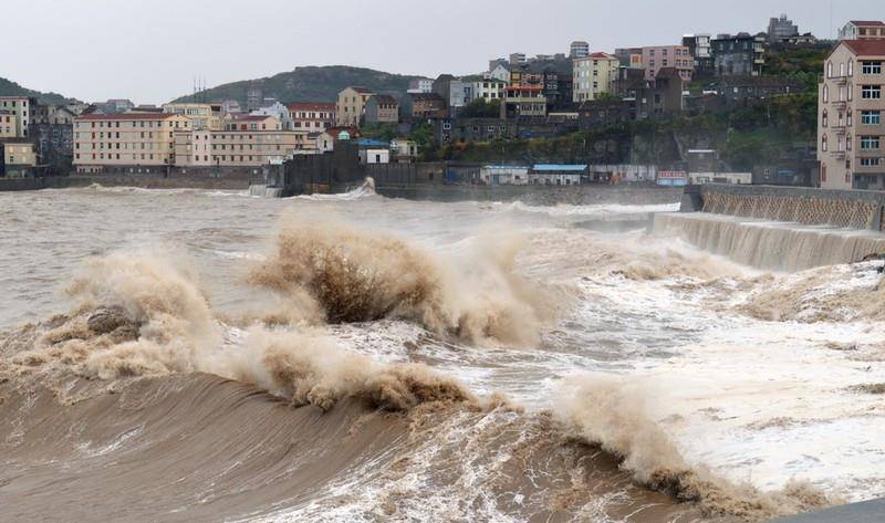 1983年洪水"蛇灾"怎么回事?_城市_人们_夏天