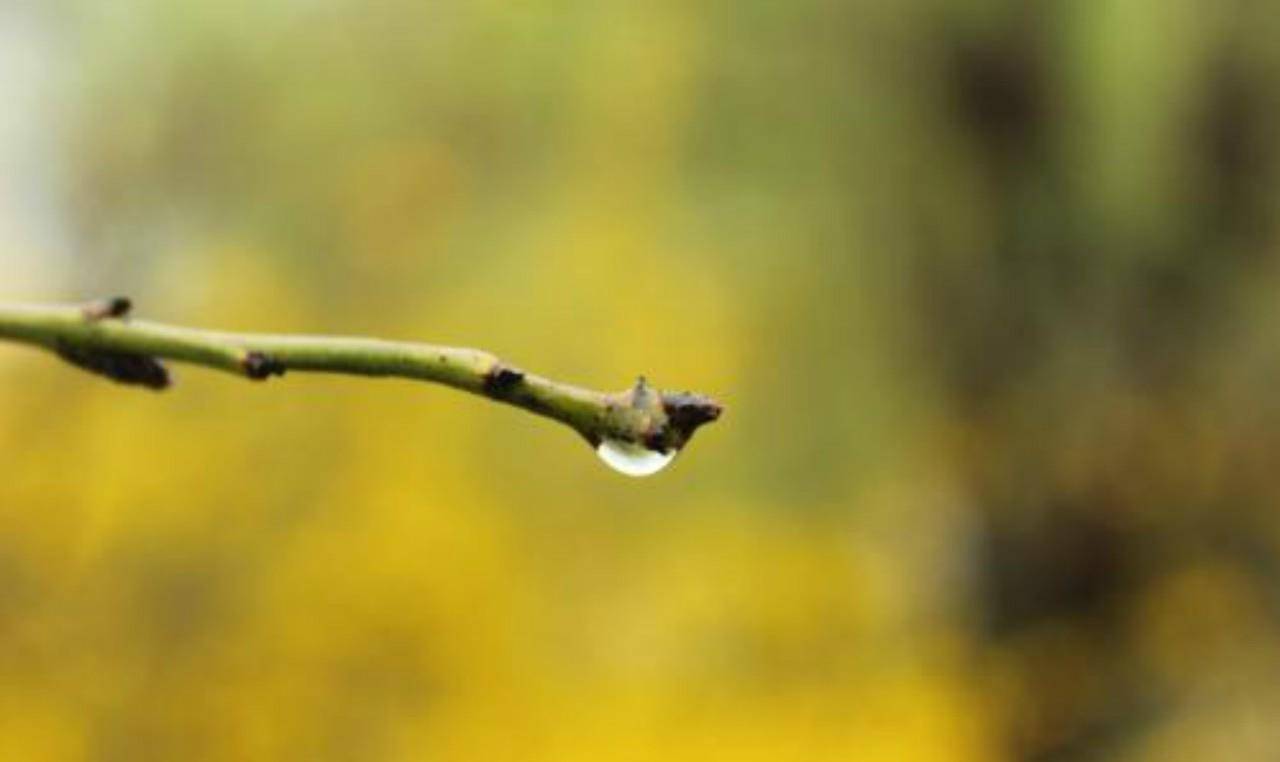 李白这7字被多位名家引用,却只有陆游用出了水平