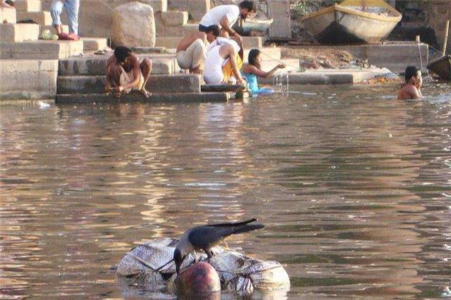 干了这口恒河水,来世还做印度人