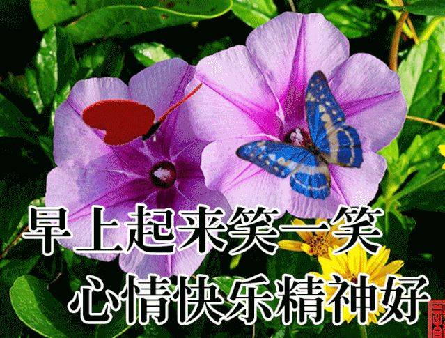20句暖心祝福,温暖你的朋友圈_生活_阳光_天都