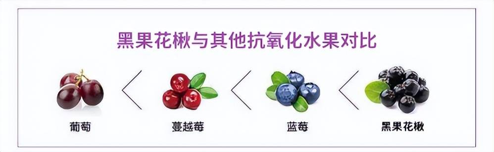 首个获批的花色苷,作为新食品原料的它,潜力不容小觑_花青素_mg_细胞