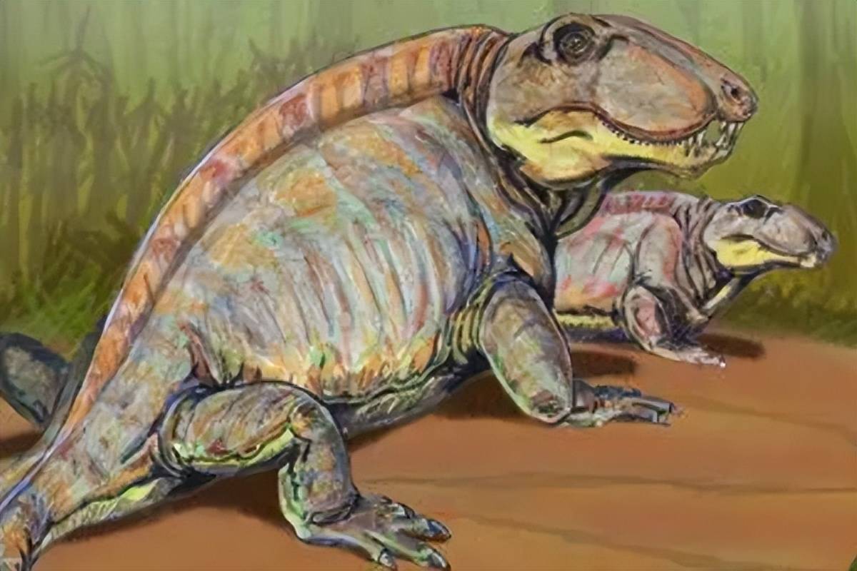 原创人类祖先被当点心吃了5亿年凭啥攻击性的器官逆天改命