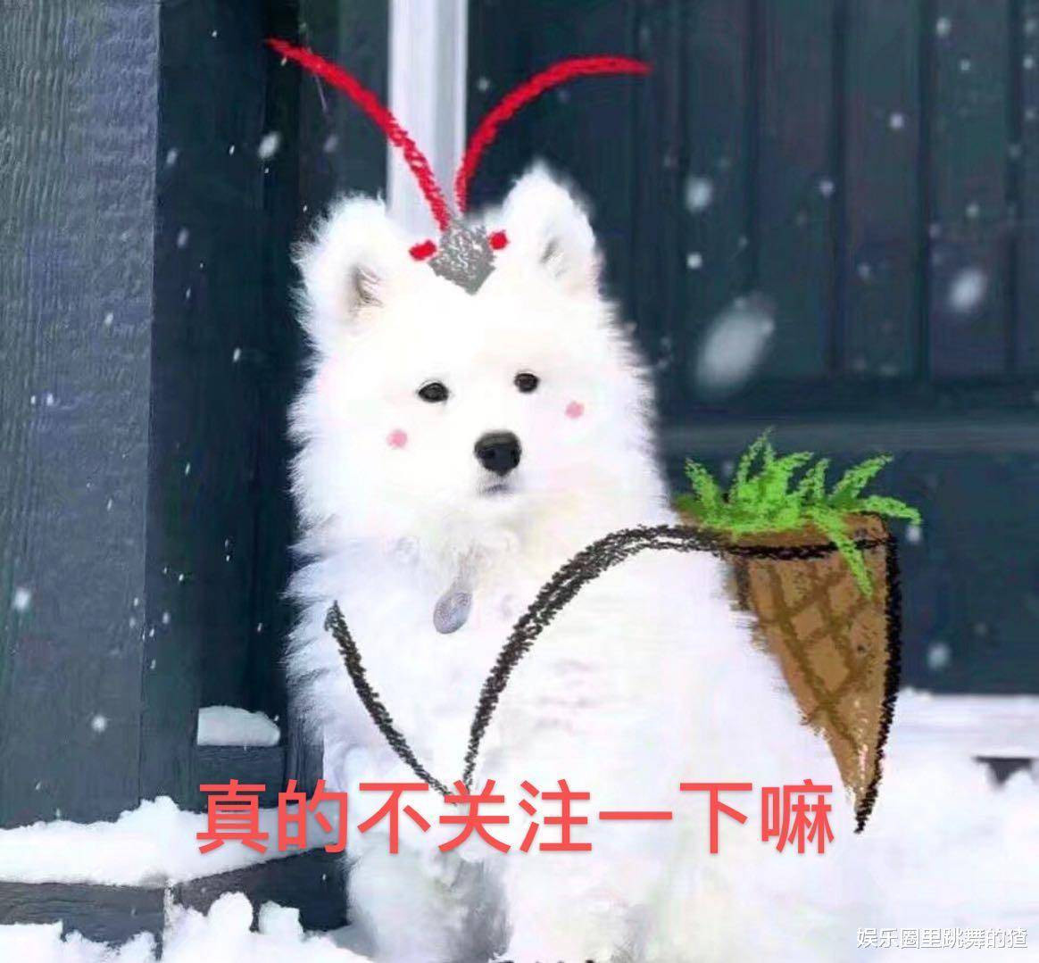 定妆照令人眼前一亮,看到开机时间:太期待_林深_花园_肖潇
