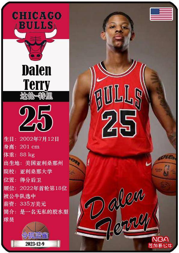 球星卡(nba):芝加哥公牛队(23-24赛季)_nba球队_特里_维奇