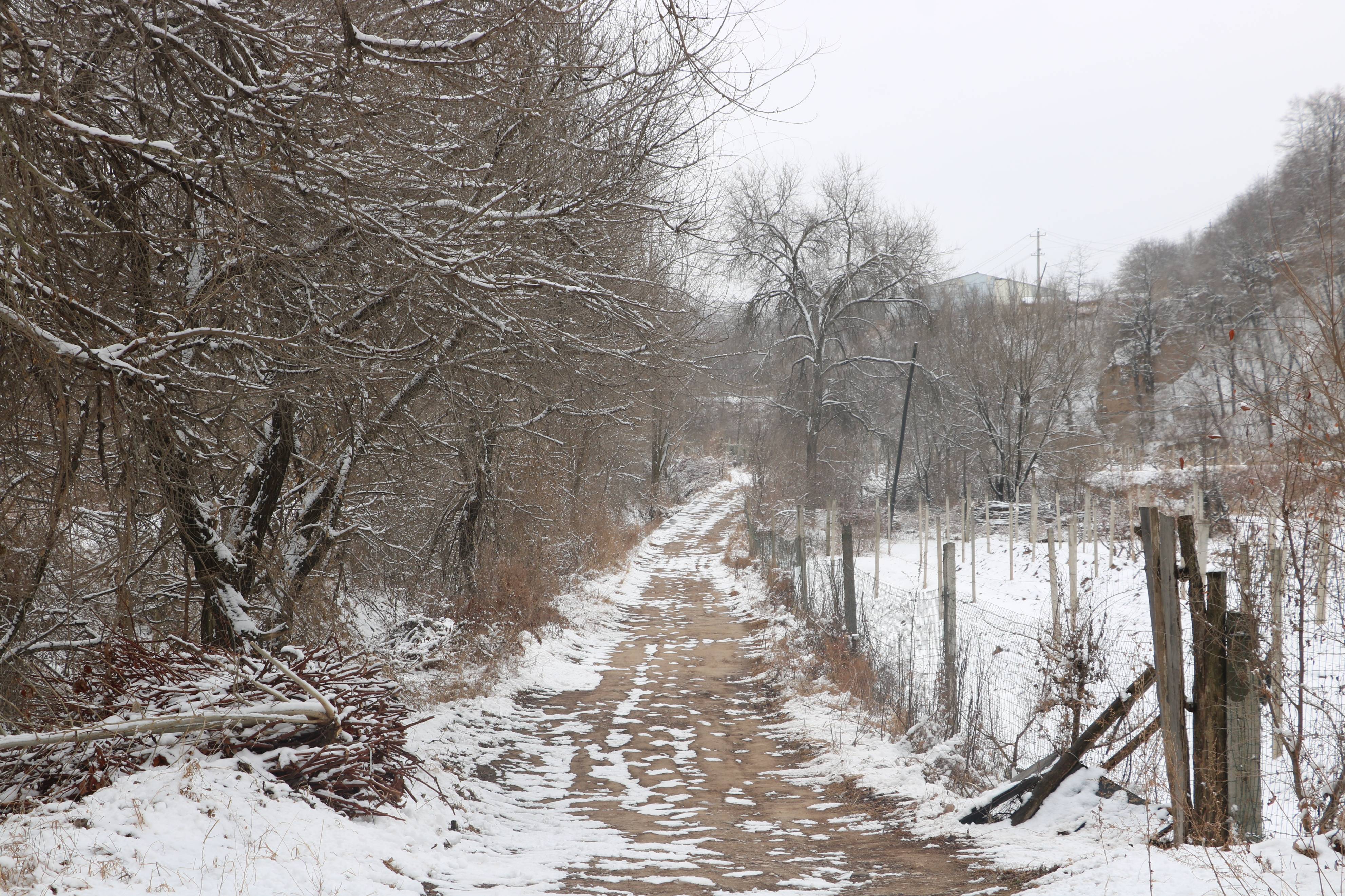 甘肃雪景平凉图片