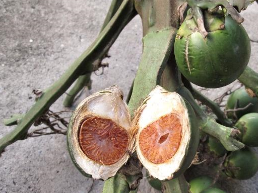 这3种水果医生一般很少吃,可能会让癌细胞变"活跃"_香蕉_时候_生活