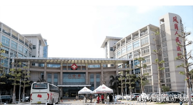 嘉辉豪庭嘉辉豪庭东莞凤岗嘉辉豪庭房价面积房源户型地址