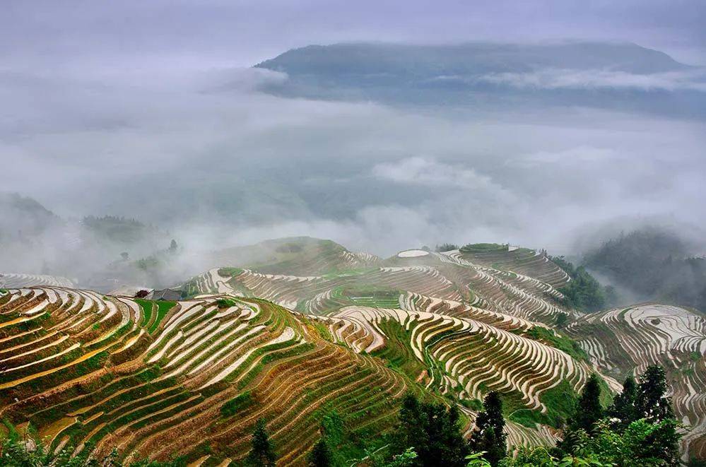 龙脊梯田春季泡田,田心村状元桥,相公山金凤凰,漓江第一湾,渔火情摄影