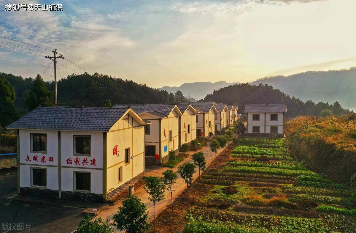 如何发展村级集体经济_合作_管理_方面