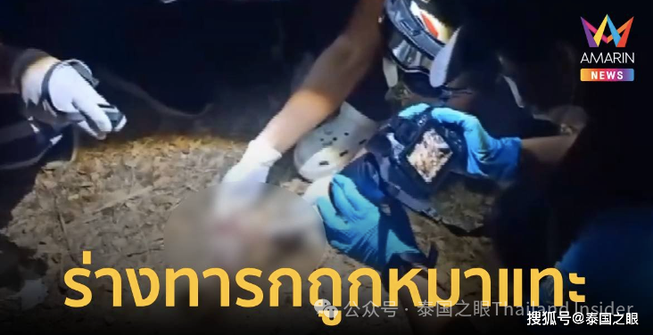 泰国北部某营地67附近有新生儿被火烧肢解,还被野狗啃食.