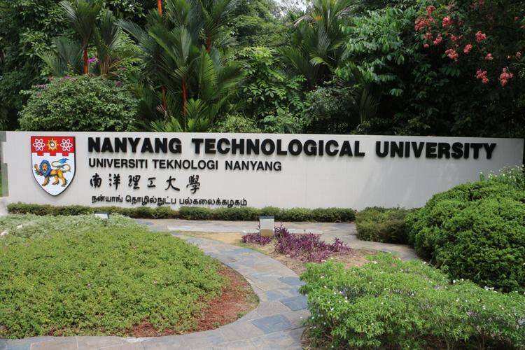 南洋理工大学高级访问学者的学习过程