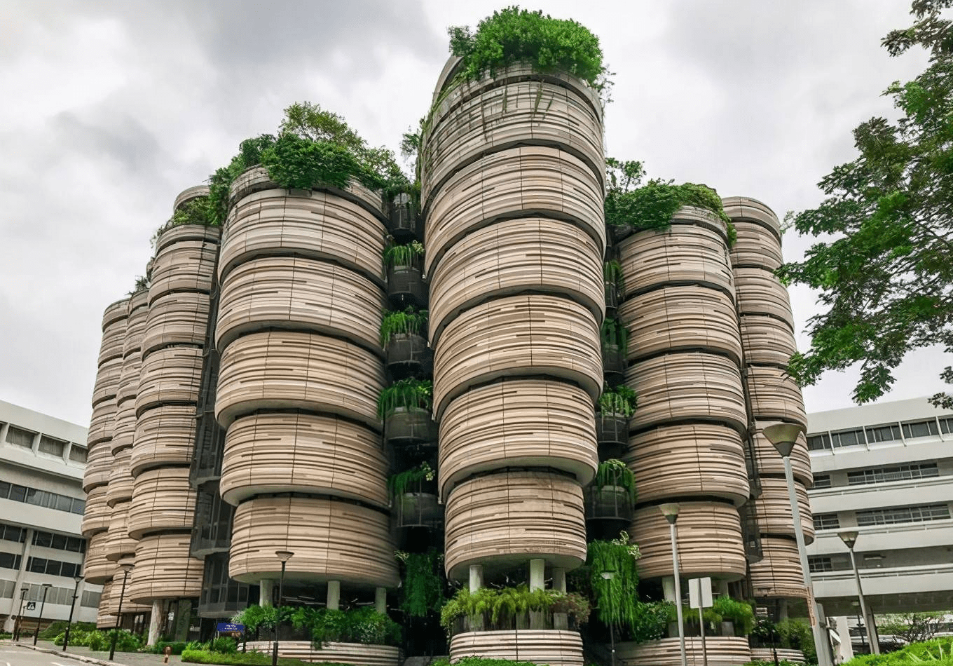 新加坡南洋理工大学高级访问学者申请流程和学习路径