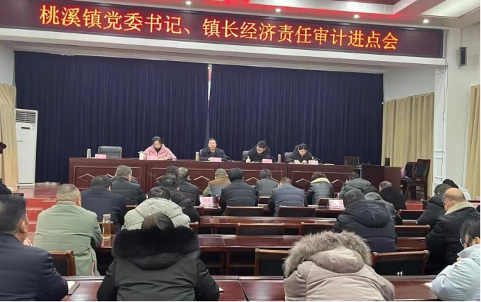 由局经济责任审计中心依据相关法律法规统一制定《2024年内乡县乡镇