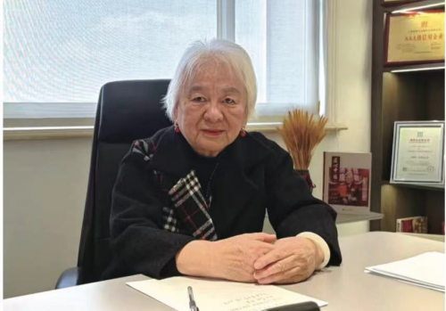 王雅珍教授:目前我国节能减排领域存在的主要误区_除尘_中国_锅炉