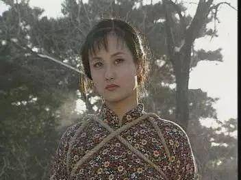 影视剧《烟花女驼龙》(这不是慕容云海她妈咩)张素贞开始了报仇计划