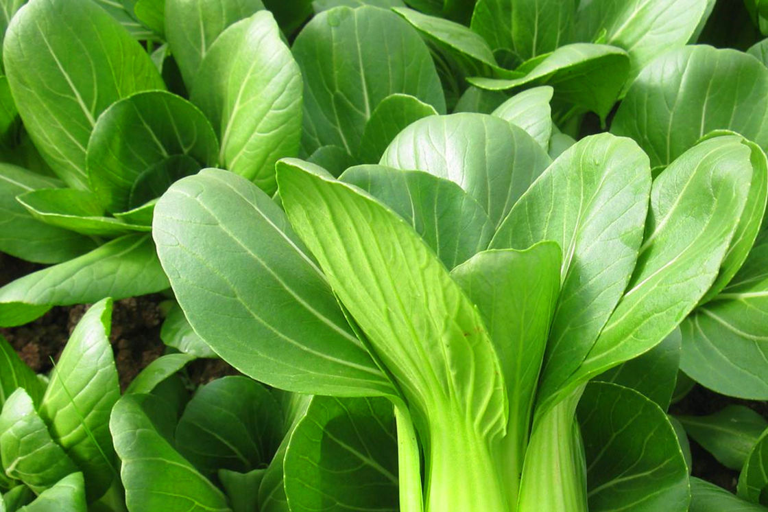 原创它是补钙王我家隔三差五做孩子吃了猛长个做法超简单