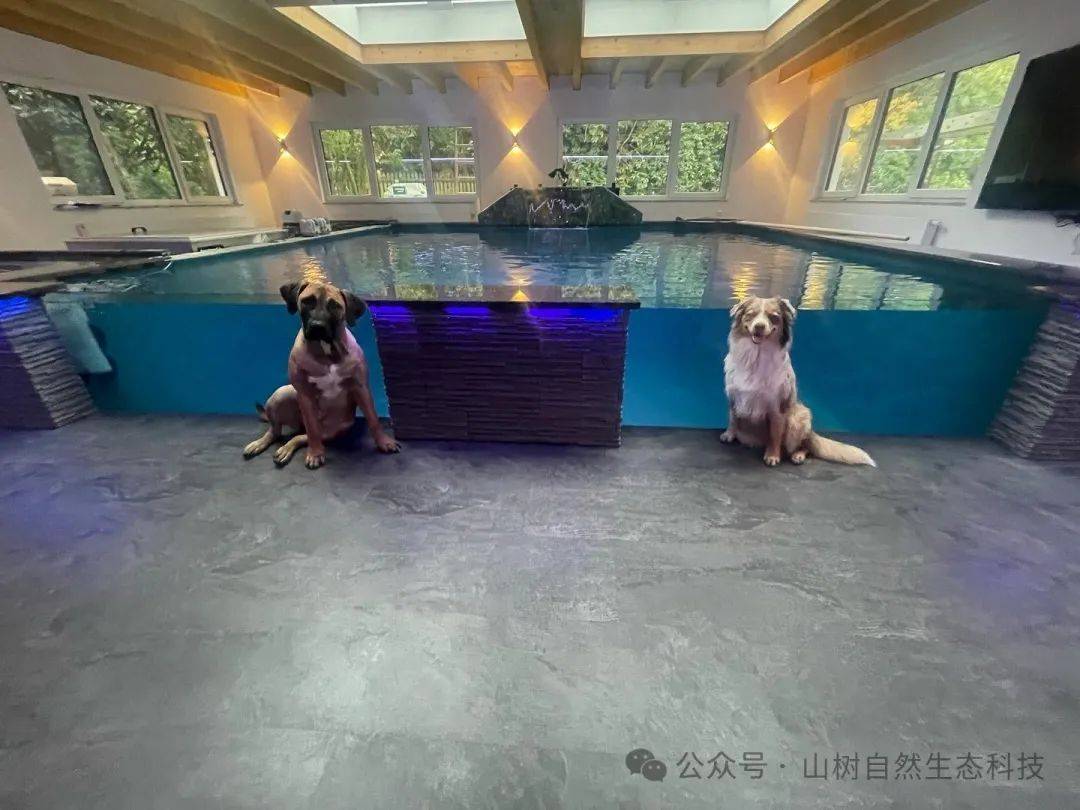 来自大西洋海岸的家居锦鲤池_鱼池_生活_空间