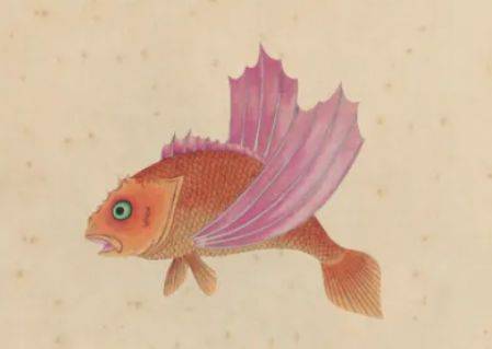 其中多飞鱼,其状如豚而赤文,服之不畏雷,可以御兵.