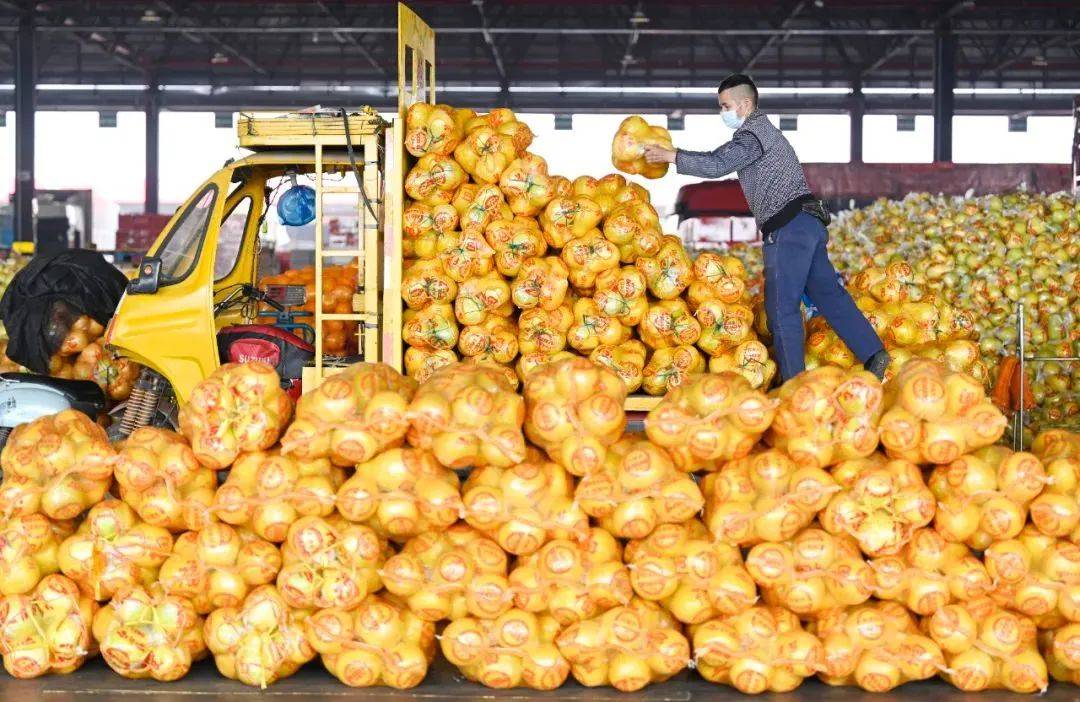 两会关注农村物流发展稳进向好