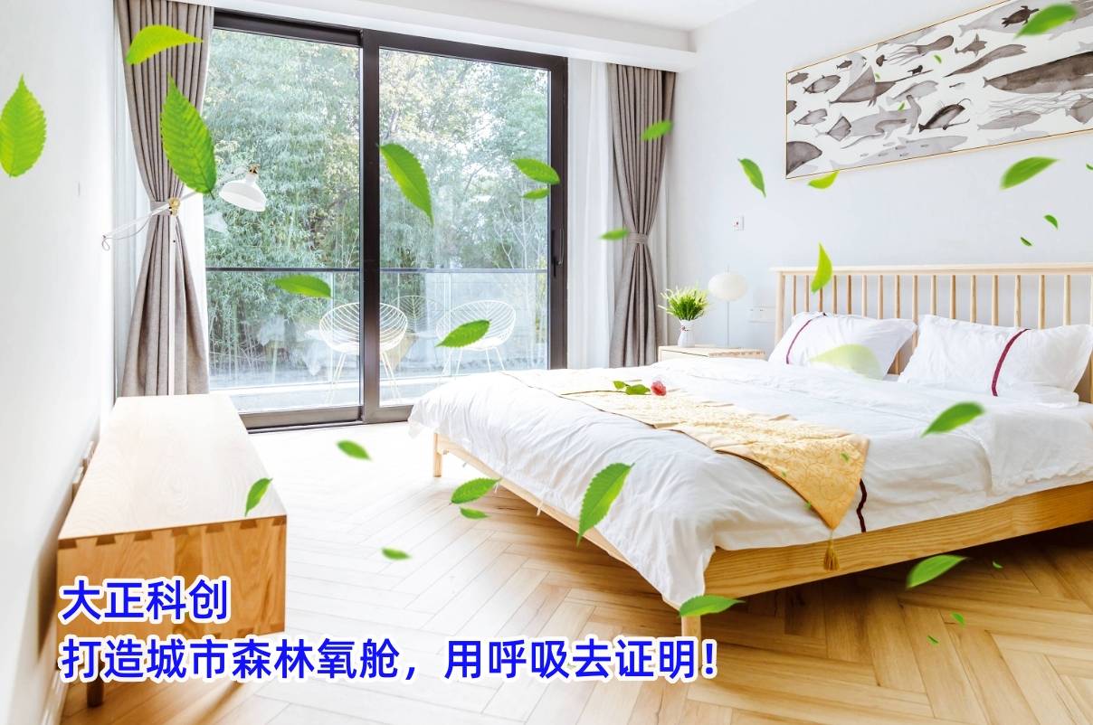 大正科创:森林空气中的能量治愈之源_负离子_净化_供应