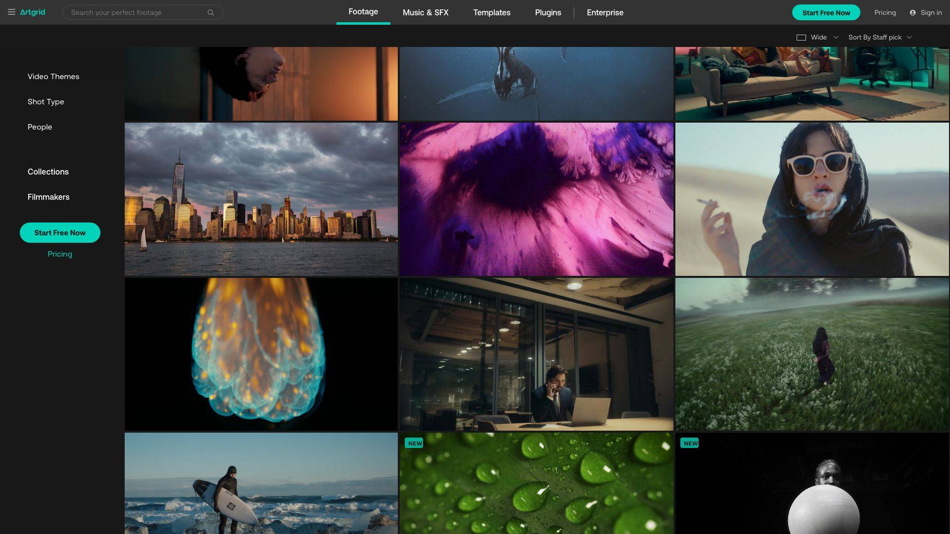 这些网站让短视频素材下载变得简单!_包括_专业_videezy