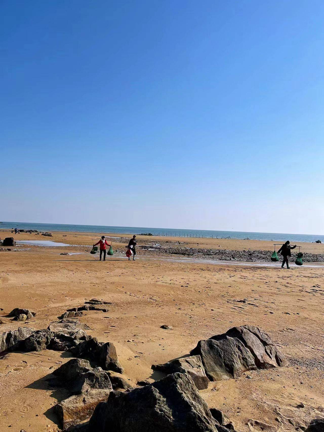 日照岚山多岛海赶海图片