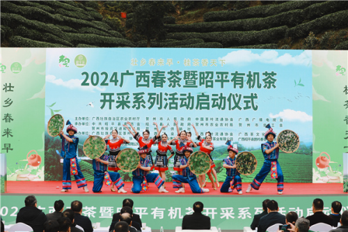 2024ƽл迪ϵлʽ