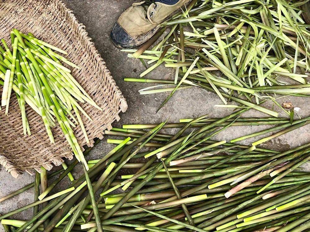 为此,每当秋冬季农事暂歇之际,村民们便会适时地对部分水竹进行修剪