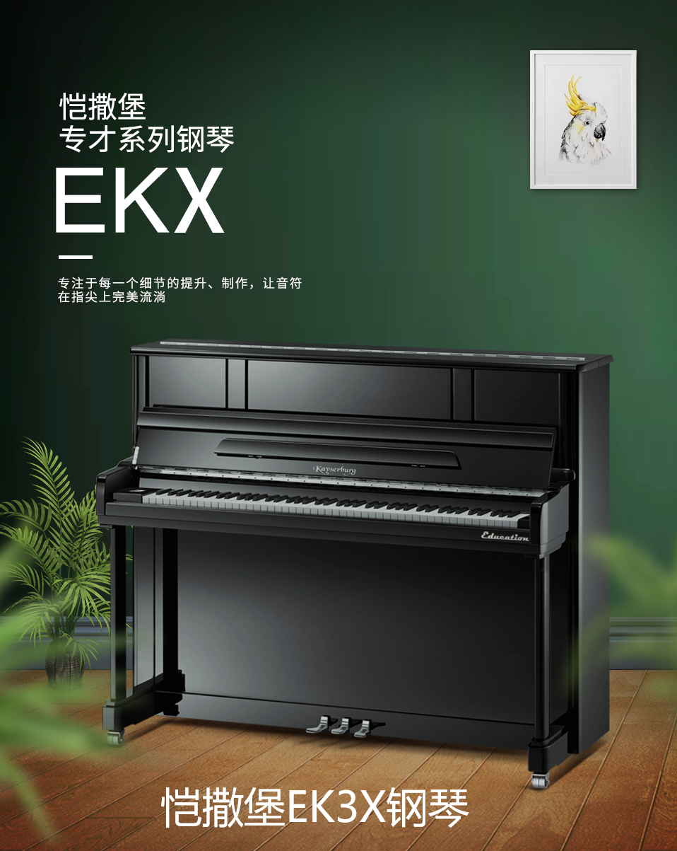 【琴迷必看】呼市4-6万性价比超高钢琴推荐_恺撒_设计_共鸣