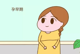 怀孕后,这两个时间段胎宝宝最脆弱,孕妈妈要好好保护_检查_胎儿_胎位