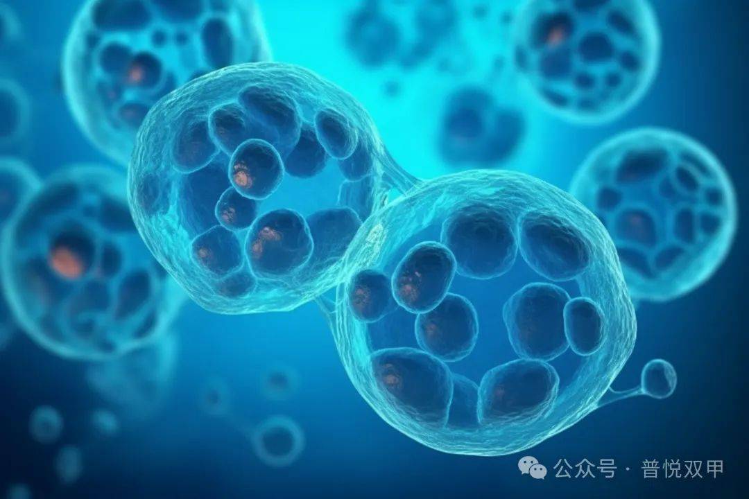 当prp遇见干细胞磨人的膝关节炎这次真的有救了