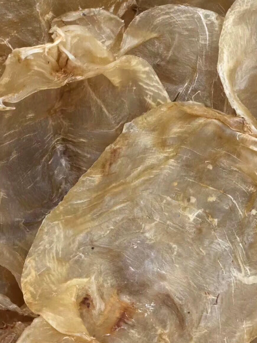 花胶中的美容王者:印尼蜘蛛胶,看它的形状你也能明白原因