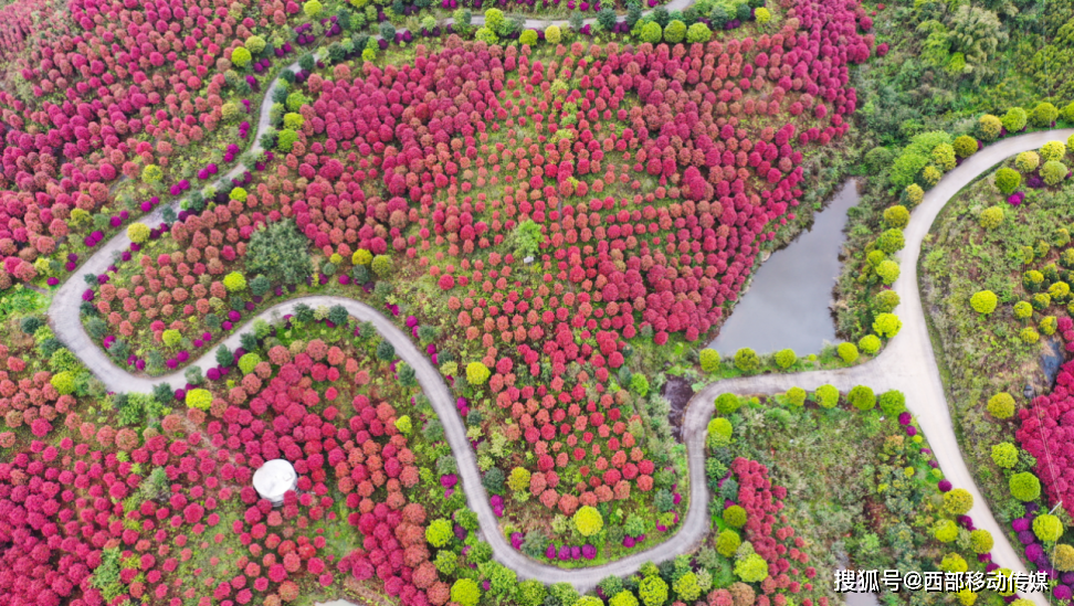 绥江有哪些旅游景点图片