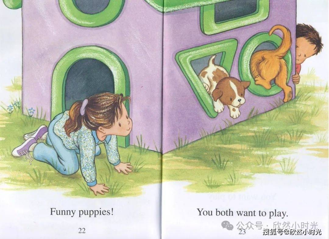 woof, woof!汪!汪!ready or not, sweet puppies, we found both