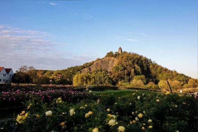 佘山溦沨营销中心佘山溦沨别墅售楼处买房攻略楼盘测评