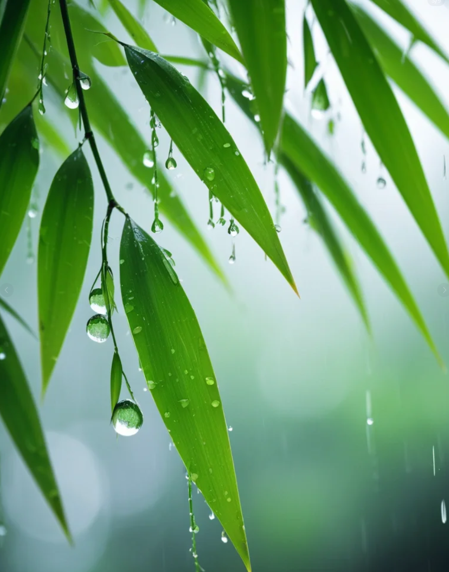 诗歌秋雨情思