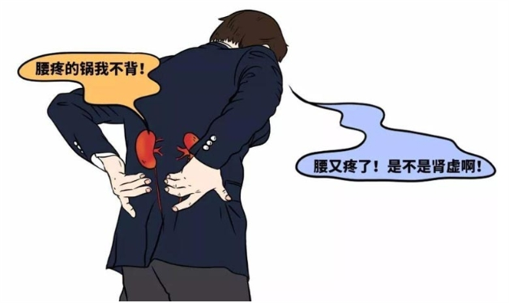 肾虚年轻化调理有妙招年轻人必看的养肾保健指南