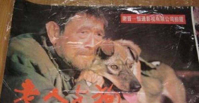 93年,他带狗出演电影《老人与狗》,电影上映后人狗都被处死_程鹏_动物