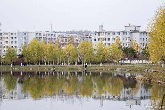 吉林农业大学成考本科报名专业