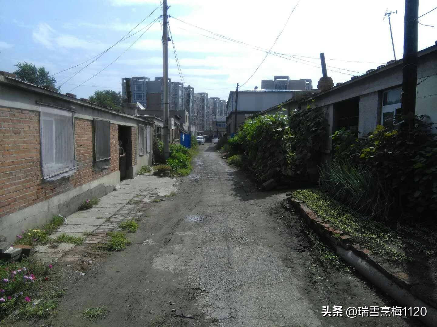 地名档案于洪区造化街道大转湾桥村北陵街道小转湾桥村