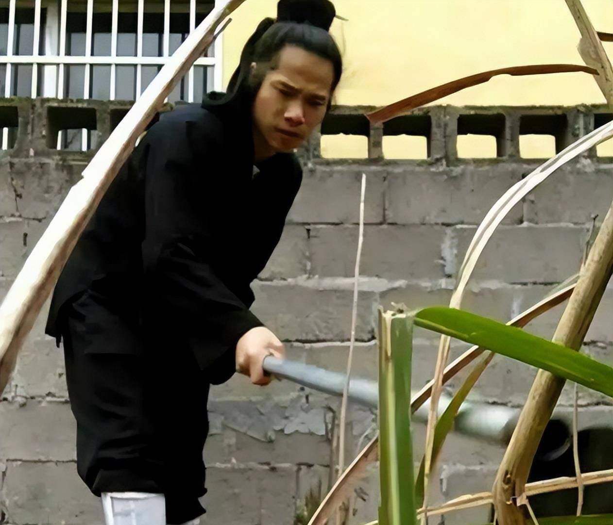 原创陆地神仙张至顺在终南山隐居70年计算自己104岁羽化登仙