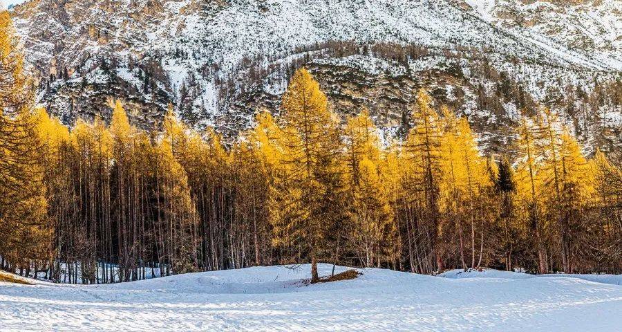 家电经销商开大店才能赚钱的真相-家电圈官网