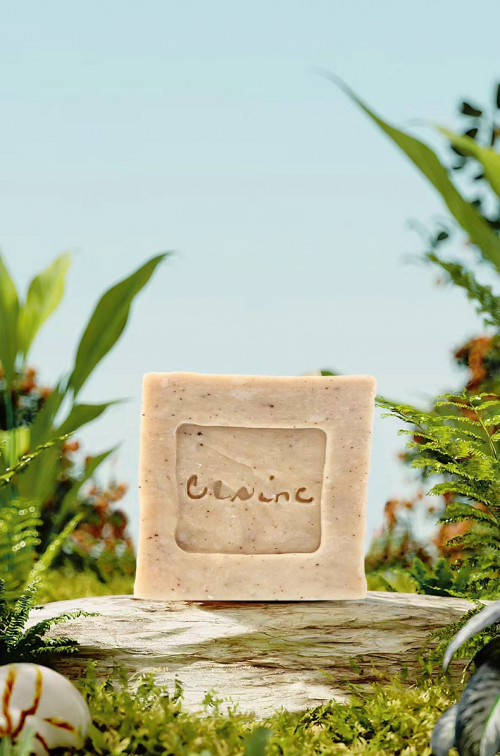 纯净之源自然呵护clsinc侧柏叶和桑叶苦丁洗发皂系列