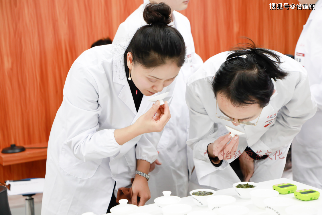 探索茶叶百科解码评茶师眼中的六大茶类的品质好茶