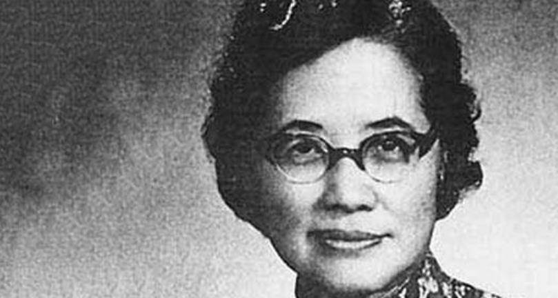 偷情被丈夫发现,她却告诫女儿:永远别向男人认错_凌叔华_陈西滢_陆