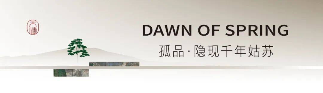 天健·山棠春晓效果图山棠春晓,将秀慧,细腻,柔和,巧智,素雅的"士大夫